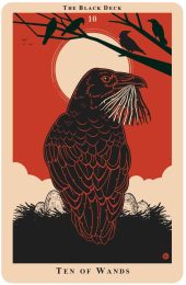 card-29