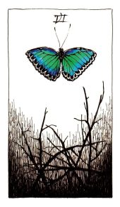 card-36