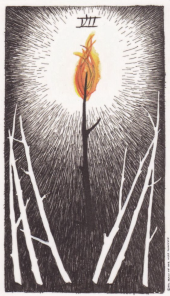 card-18