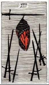 card-72