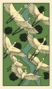 card-64