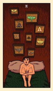 card-6