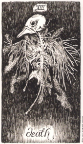 card-19
