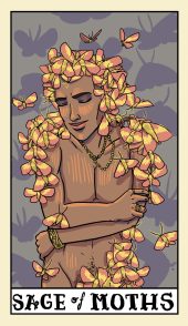 card-48