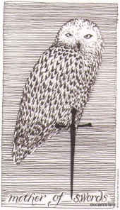 card-5