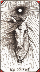 card-56