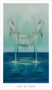 card-49