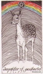 card-46