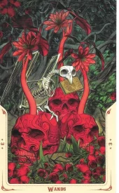 card