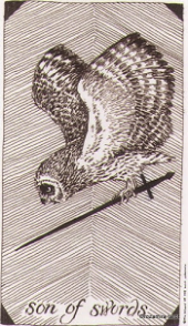 card-17