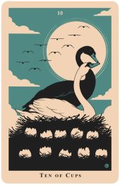 card-16
